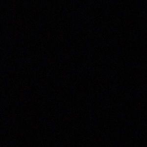 Meet your Posher, Violet